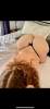 Experience a Beautiful Curvy Snowbunny | San Diego | United States | cityxad.com 