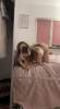 I’M AVAILABLE FOR FUN  +19297547754 | Waterloo | United States | cityxad.com 