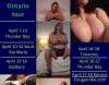 April 10-12  Sexy Cougarnikki | Sault Ste Marie | Canada | cityxad.com 