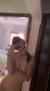I’M AVAILABLE FOR FUN  +19297547754 | Tampa | United States | cityxad.com 