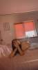 I’M AVAILABLE FOR FUN  +19297547754 | Boulder | United States | cityxad.com 