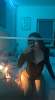 Female escort ✅ | Rockford | United States | cityxad.com 