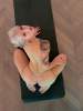 NO RESTRICTIONS… AM AVAILABLE FOR MAXIMUM PLEASURE  AND  BANGING 👅 🍑🍆💦 | Colorado Springs | United States | cityxad.com 
