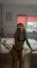🦋❤️AVA!LABLE FOR HOOKUP❤️🦋 | Waco | United States | cityxad.com 