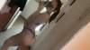 I’m Nashira available for both incall❤️🥂💋 and 💋 outcall ❤️ 💋 services🥂❤️ HMU | Windsor | Canada | cityxad.com 