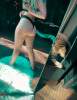 ☘️Want to be an exotic pet owner ? Here’s a lioness you can tame. Text me on my number +1(860)271-63 | Kauai | United States | cityxad.com 
