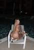sexy sasha visiting limited time | El Paso | United States | cityxad.com 