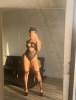 I’m Available for Hookup 🥵💦 🍆 🍆,Anal,Creampie,Blowjob,Oral,Bareback,Doggystyle and body massage | Miami | United States | cityxad.com 