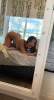 69💦👅, stroke😍 hardcore 💦👅Doggystyle💦😁Close, Fetish 🥰💦 tits 🥵 hot ride | Fort Collins | United States | cityxad.com 