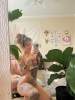 % REAL💕✨PRETTY **** WET GIRL💕✨ 💯 SAFE SKILLED🍆😛 +1 424-238-2904 | Maui | United States | cityxad.com 