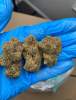 Drug | Redding | United States | cityxad.com 